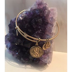 Alex and Ani bracelet